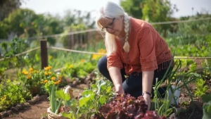 seniors gardening