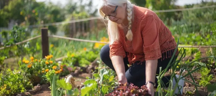 seniors gardening