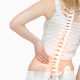 Physiotherapy-For-Herniated-Disc-1.jpg